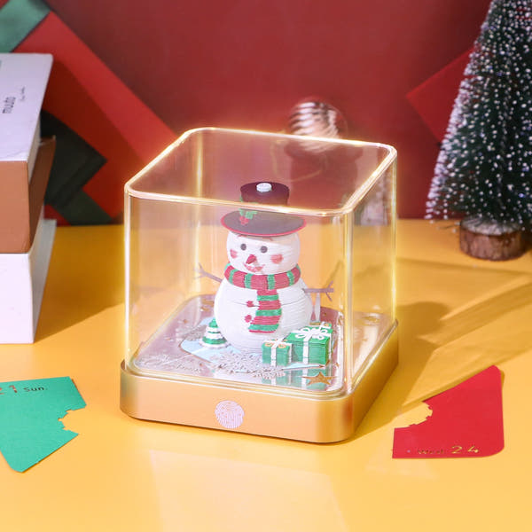 Schneemann (mit Licht) & Kalender 2026)