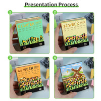 3D Calendar 2026 - Windmill